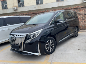 广汽传祺 传祺M8 2023款 领秀系列 390T 尊享版