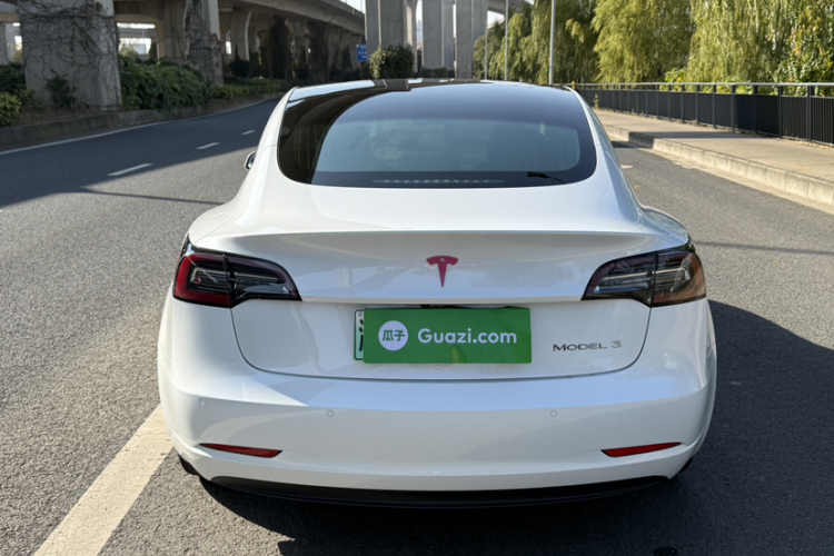 特斯拉 Model 3 2019款 标准续航后驱升级版车身外观6003