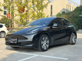 特斯拉 Model Y 2022款 改款 后轮驱动版