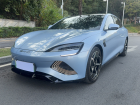 比亚迪 海豹 2023款 冠军版 700km 性能版