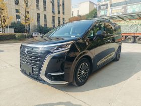 腾势D9 2022款 DM-i 1040 尊贵型