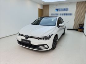大众 高尔夫 2021款 280TSI DSG Pro