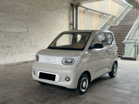 五菱汽车 宏光MINIEV 2024款 第三代 215km 青春版