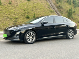 红旗E-QM5 2022款 431km 充电乐享版