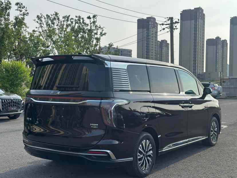 红旗HQ9 PHEV 2024款 2.0T 四驱商务版(4)