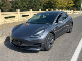 特斯拉 Model 3 2020款 标准续航后驱升级版