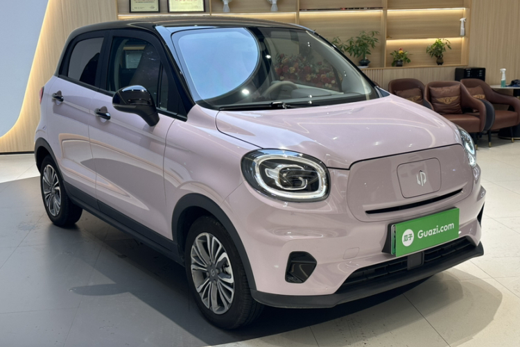 零跑汽车 零跑T03 2024款 310舒享版车身外观6003