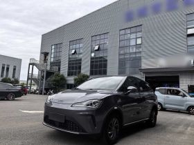 哪吒汽车 哪吒AYA 2023款 318 Lite