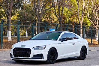 奥迪A5 2019款 Coupe 40 TFSI 时尚型 国V