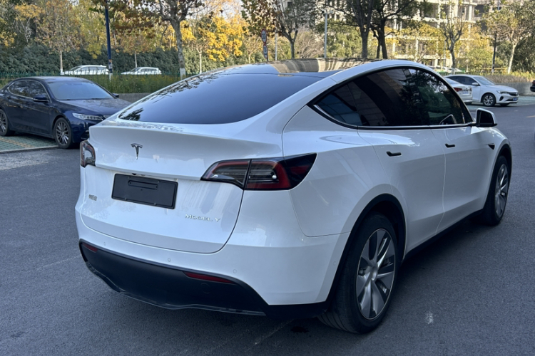 特斯拉 Model Y 2022款 后轮驱动版车身外观6007