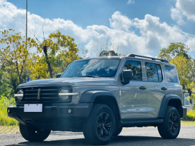 坦克300 2021款 越野版 2.0T 征服者