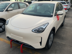 吉利银河 星愿 2026款 310km 青春版