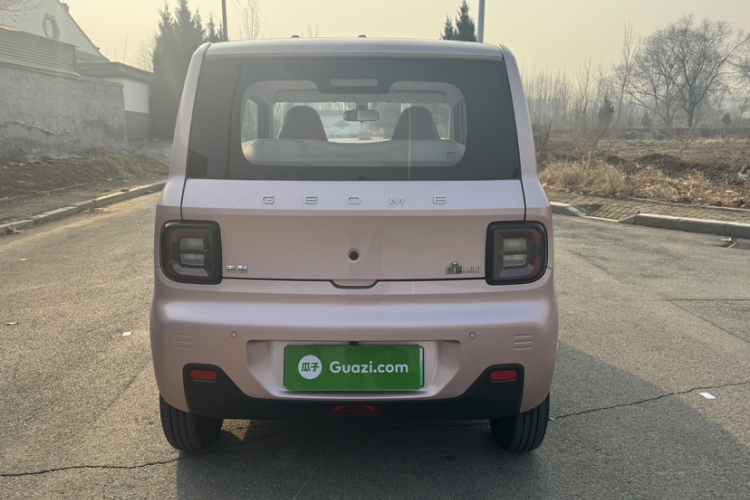 吉利银河 2024款 熊猫mini 200km 耐力熊车身外观6007