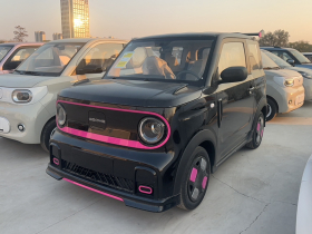 吉利银河 2025款 210km 熊猫卡丁