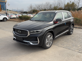 吉利汽车 星越L 2024款 2.0TD DCT EVO两驱长风版