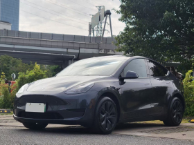 特斯拉 Model Y 2024款 后轮驱动版