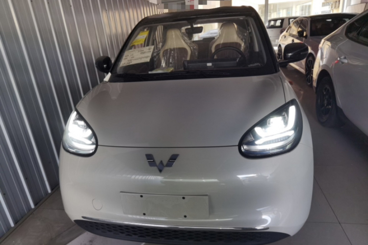 五菱汽车 五菱缤果 2024款 333km 悦享款车身外观6004