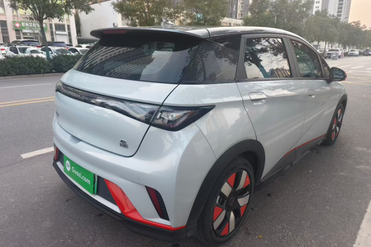 比亚迪 海豚 2021款 401km 骑士版车身外观6005