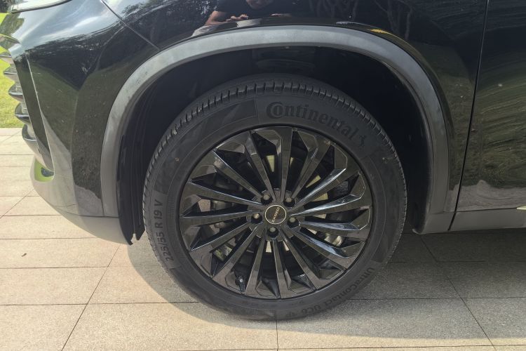 星途凌云 2023款 300T 两驱星耀版局部细节9006