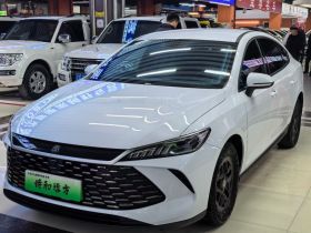 比亚迪 秦PLUS 2025款 DM-i 智驾版 55KM领先型