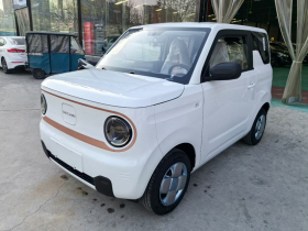 吉利银河 2024款 熊猫mini 200km 耐力熊