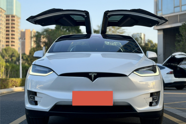 特斯拉 Model X 2019款 长续航版车身外观6005