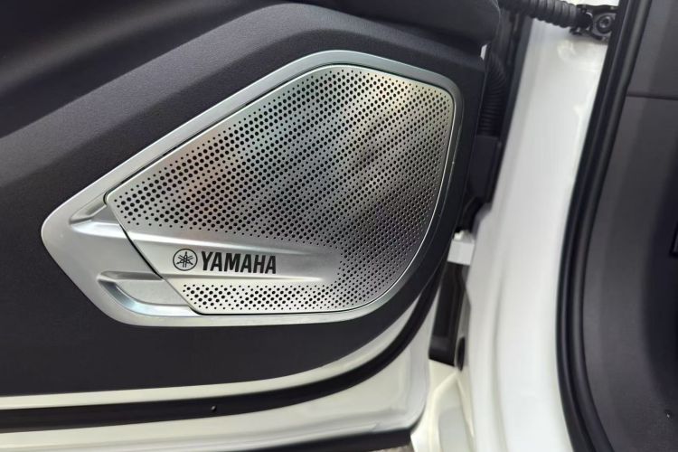 极氪001 2023款 WE版 100kWh中控内饰7013