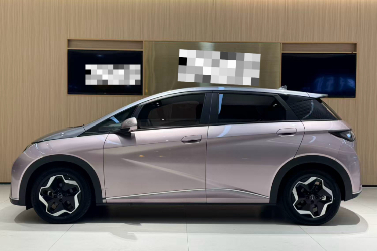 比亚迪 海豚 2021款 405km 时尚版车身外观6006