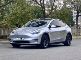 特斯拉 Model Y 2024款 后轮驱动版