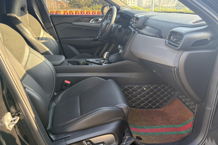 领克03 2021款 1.5TD DCT劲 冠军版局部细节41