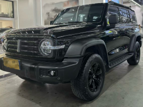 坦克300 2021款 越野版 2.0T 征服者