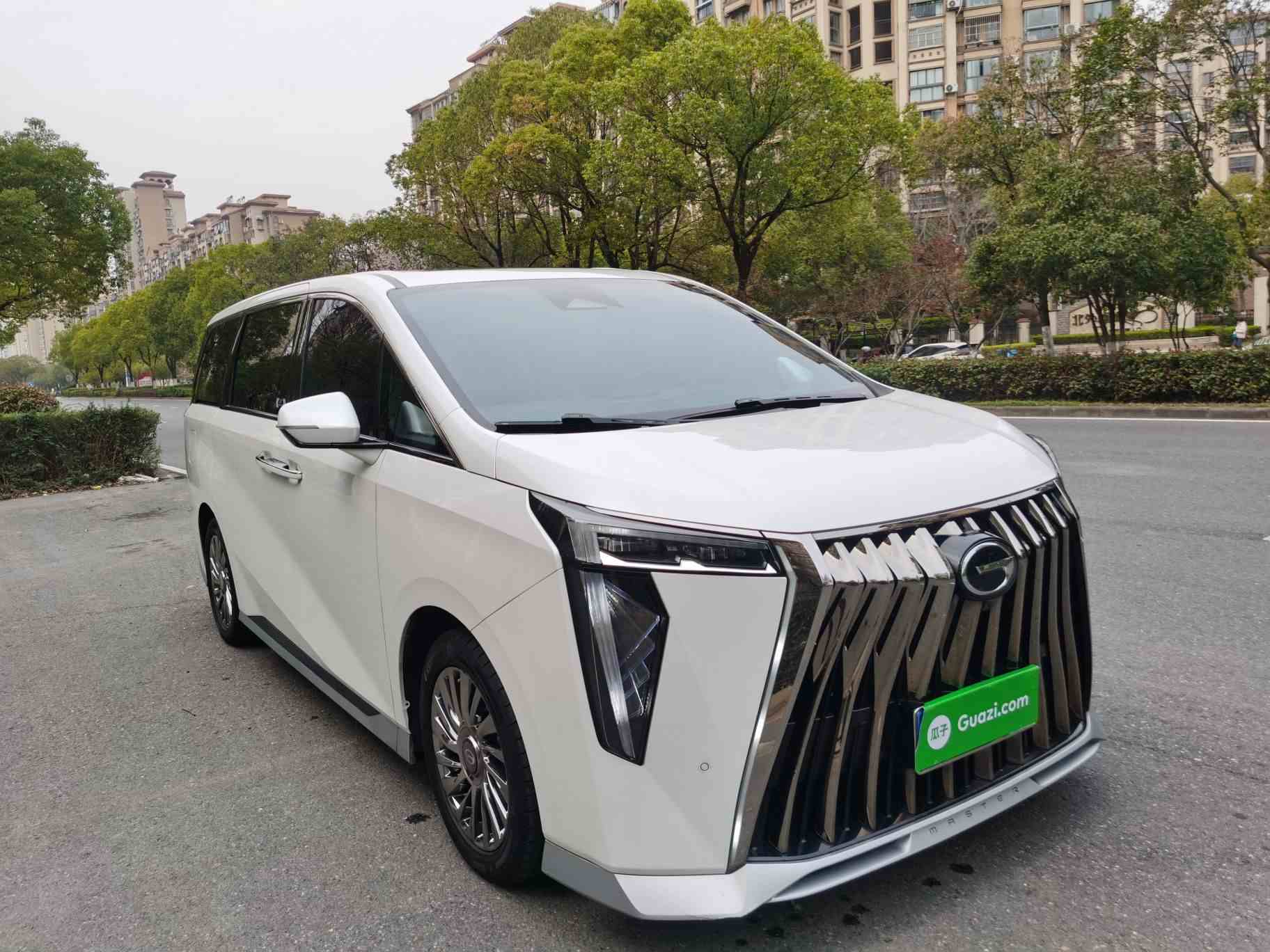 广汽传祺 传祺M8 2023款 宗师系列 400T 至尊版(3)