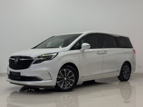 别克GL8 2020款 ES陆尊 653T 旗舰型