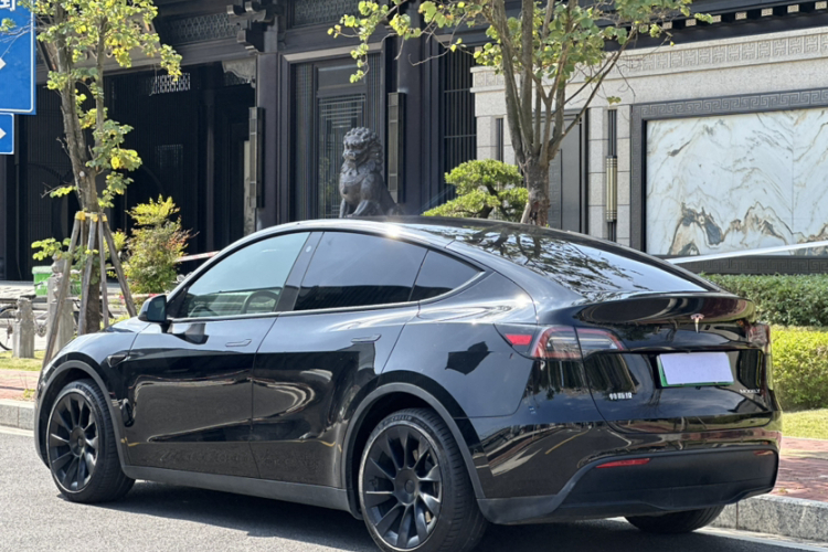 特斯拉 Model Y 2021款 标准续航后驱版车身外观6008