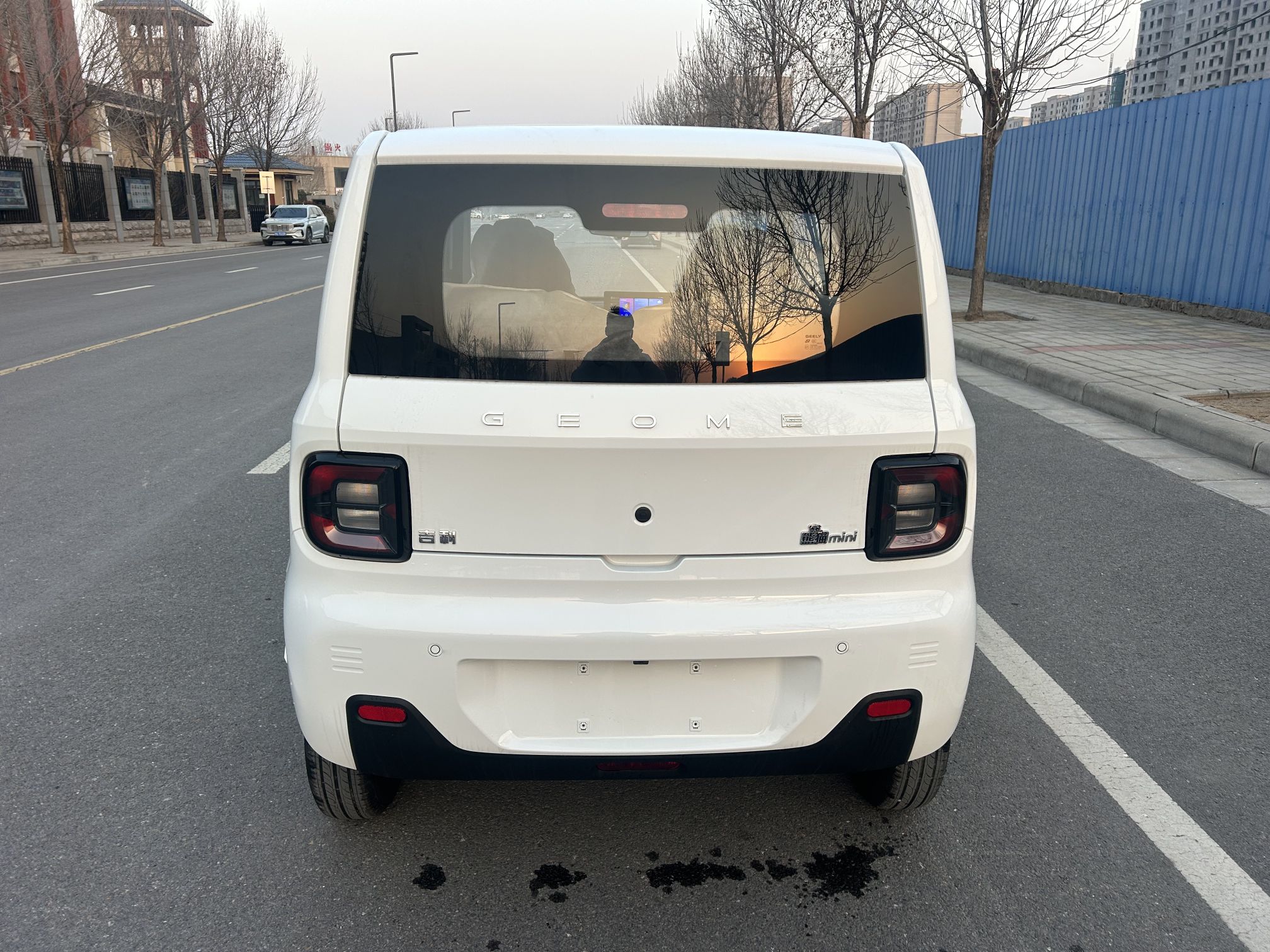 吉利汽车 2024款 熊猫mini 200km 耐力熊