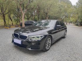 宝马5系(进口) 2020款 525i M运动套装