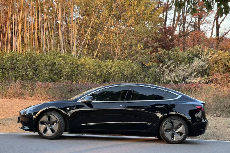 特斯拉 Model 3 2019款 标准续航后驱升级版车身外观6004