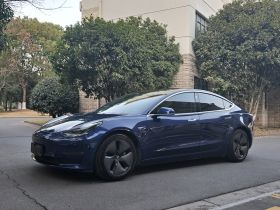 特斯拉 Model 3(进口) 2019款 长续航全轮驱动版