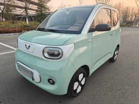 五菱汽车 宏光MINIEV 2024款 第三代 215km 进阶版