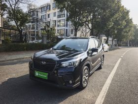 斯巴鲁 森林人 2019款 2.0i 豪华版EyeSight