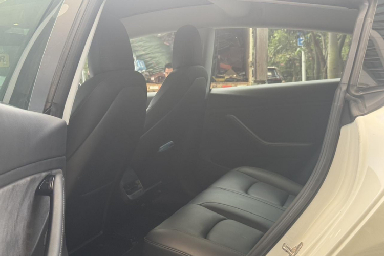 特斯拉 Model 3(进口) 2019款 长续航后驱版局部细节9001