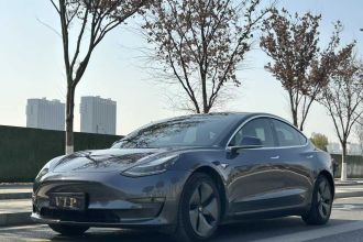 特斯拉 Model 3(进口) 2019款 长续航后驱版
