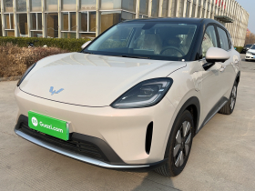 五菱汽车 缤果S 2025款 325km 尊享款