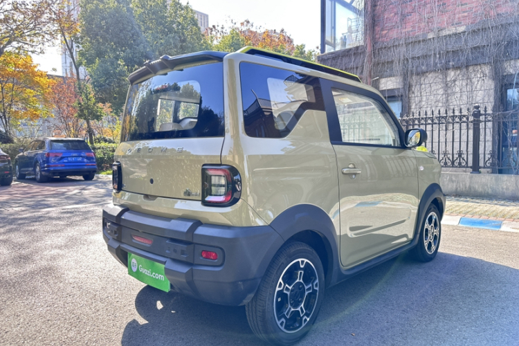 吉利银河 2025款 210km 熊猫骑士车身外观6005