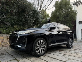 星途揽月 2023款 400T 四驱星尊版 6座