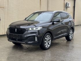 魏牌 VV6 2018款 2.0T 两驱旗舰型 国V