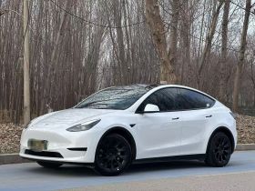 特斯拉 Model Y 2022款 后轮驱动版