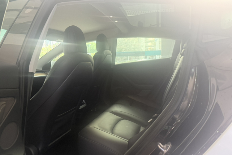 特斯拉 Model 3 2022款 后轮驱动版局部细节9011