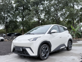 比亚迪 海鸥 2025款 305km 自由版