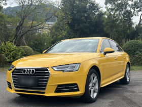 奥迪A4L 2018款 30周年年型 40 TFSI 进取型